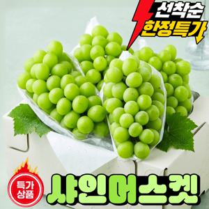 TEMU 50박스 한정수량 초고당도 가정용 샤인머스켓 1.05kg (재구매율1위)