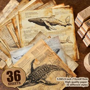 36장의 재미 없는 클래식 고래 해부 수동 그림 일러스트 스크랩북 용지, 장식 용지, 재료 용지, 공예 용지, 저널 용지, 빈티지 저널 수제 쓰레기 저널 선물 포장 인사말 카드 제작 배경에 적합