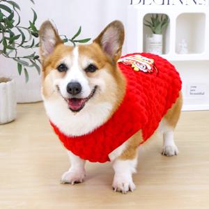 TEMU 애견 옷 강아지 가을 겨울 새해 축제 분위기 따뜻한 코기 소형견 중형견 겨울