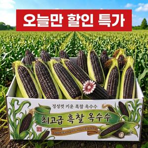 TEMU [테무특가] 국산 흑찰옥수수 특품 10개입