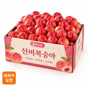 TEMU [농장직송] 신비복숭아 1kg 산지직송 당도선별