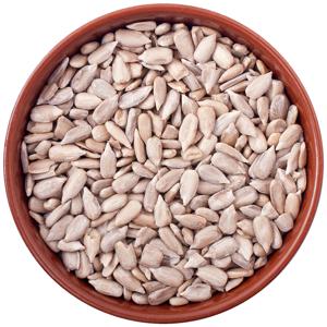 TEMU 푸드팜 해바라기씨 500g