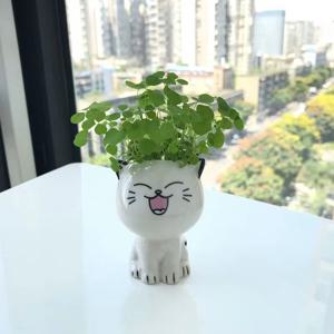 TEMU 세라믹 화분 미니 고양이 모양 만화 귀여운 화분 다리미 구멍 포함 데스크탑 화분 고양이 화분 책상 장식 선물 정원 가꾸기 선물 홈 데코