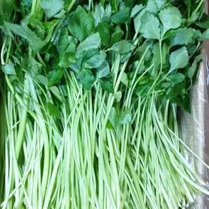 국내산 참나물 2g 4kg