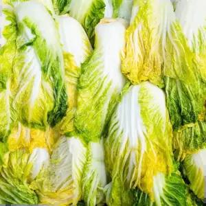김치 직접 키운 배추로 절인 전라도 절임배추 10KG