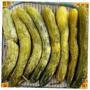 오이지 홍천 오이지절임 오대산 1kg 반찬 강원도 삼둔농원 밥반찬