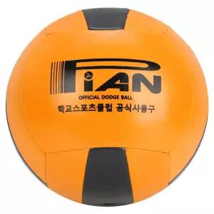 피안 체육수업 미니축구 피구공 공인구