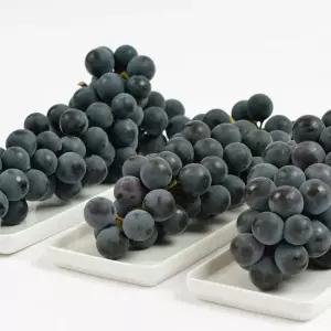 국내산 김천 캠벨포도 상품 2kg 6-10수 내외