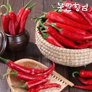 [봉팔형님]홍고추 10kg 홍초 당일수확 붉은고추