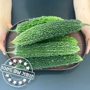 아삭아삭 맛있는 국내산 햇 생여주 비터멜론 상품 10kg