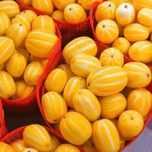 [농장직송] 성주 꿀 참외 못난이 10kg