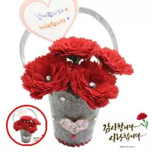 헤이지 C0302 펠트 이션 꽃바구니 1인 전용포장 어버이날키트 카네이션만들기 어버이날카네이션