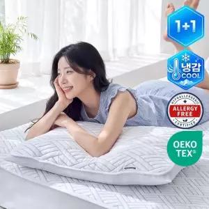 [1+1] 아이스 쿨텍스 베개커버 냉감소재 밴딩 덧베개 (2P)