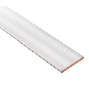 TEN-HIGH 주석 도금 구리 평면 바 6mmx30mm, 대전류 전도용 1/4인치 주석 도금 구리 버스 바, 길이 1000mm