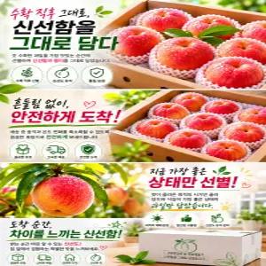 [지금이제철] 아삭아삭한 딱복 과즙이 줄줄흐르는 몰랑이 아삭이 황도 백도