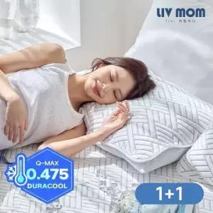 리브맘 매일 바꿔쓰는 듀라쿨 아이스냉감 베개커버 1+1 40x60