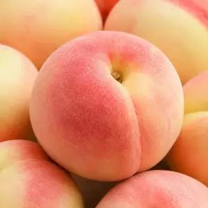 국내산 아삭한 딱딱이 털복숭아 2kg