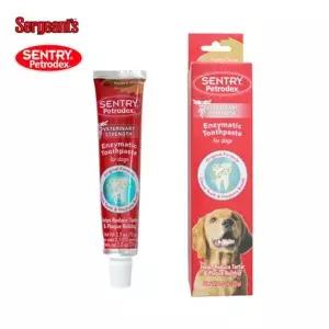 [하프클럽/셀럽하우스]강아지 댕댕이 고양이 치석 입냄새 제거 치약