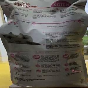 로얄캐닌 반려묘 사료 키튼 2kg 캣 캣klm225