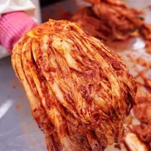[푸드공작소]전라도식 담양 프리미엄 해풍배추포기김치 10kg / 오늘담근김치