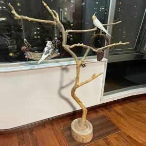 앵무새 놀이터 장비 그네 스탠드 원목 사다리 나무 새장