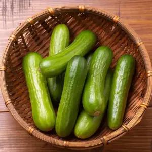 하나의팜 국내산 미니오이 2kg 스낵오이