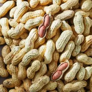 국내산 알알이 꽉 찬 고소한 피땅콩 1kg