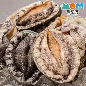 [NS홈쇼핑]완도 활전복 특특대 8-9미 1kg + 전용세척솔[35184955]