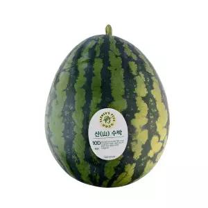 산(山) 수박 9~10kg미만