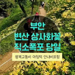[전북] 변산 상사화꽃길과 직소폭포 가는 길 당일여행