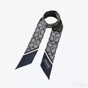 코치 C2783 DWP