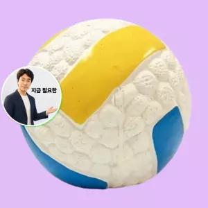 지금 필요한 반려견라텍스공 라텍스 배구공 삑삑이 화이트 1P 강아지 공놀이 대형