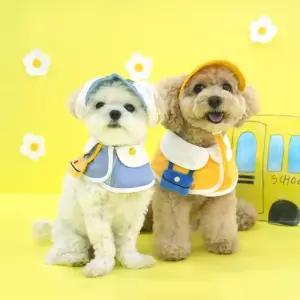 패리스독 유치원 케이프 모자 세트반려견 강아지 애용