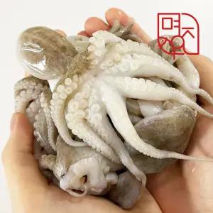 손질 특대(XXL) 통 쭈꾸미 360g 1팩기준 180g 6~8미