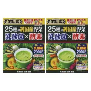 금의녹즙 25종 야채 유산균 효소 30개입 105g 2개 Nihon Yakken