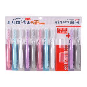 8+2p 칫솔 시그니처 일타쌍피 위생용품 구강 왕헤더 대형 큰헤더