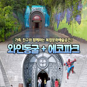 (당일사용불가) 광양 와인동굴/에코파크 PKG(~10.31)/광양명소/가볼만한곳/복합문화예술공간/미디어파사드/빛터널/다양한체험