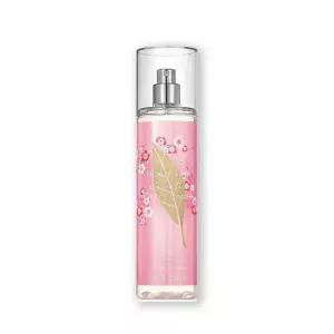 엘리자베스아덴 그린티 체리블라썸 바디 미스트 236ml