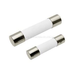 10PCS 5*20/6*30MM 슬로우 세라믹 튜브 퓨즈 T0.5A 1A 2A 3A 4A 8A 시간 지연