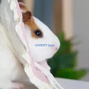 367A 엘리자 시대 햄스터 다람쥐용 소형 동물 회복 목줄 편안한 물림 방지