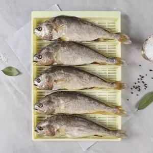 [인정식탁][우등국화굴비] 부세굴비 선물세트 특대 5미 (미당 30~33cm내외, 총 1.2kg)