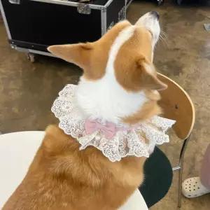 강아지스카프 핑크 레이스 스카프 강아지 강아지케이프 고양이 케이프 M