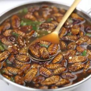 냉동 번데기 대용량번데기 영양간식 기본안주 4kg