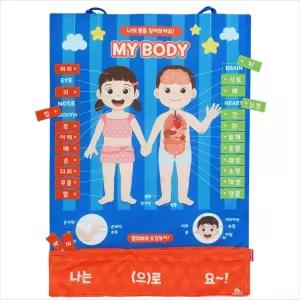 h74 MC3045 차트 소중한 나의 몸 배우기/한글/벽보/학습/보드판/붙였다/떼었다/교구/유아/어린이/벽걸이