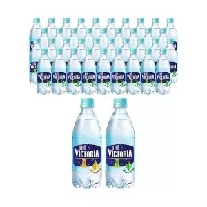 [더 빅토리아] 탄산수 파인애플 500ml, 20개 + 청포도향 500ml, 20개
