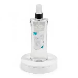 바디판타지 바디스프레이 화이트머스크 236ml