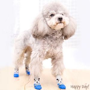 댕댕슈즈 강아지 양먈 신발 겨울 미끄럼방지 S M L 애견 고양이 발바닥 보온 보호 반려동물