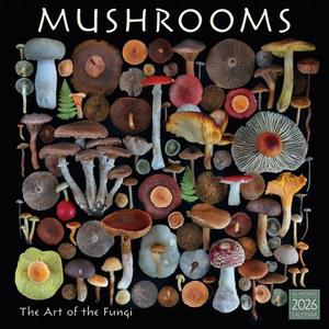Mushrooms 2026 12인치 달력 식물 달력 12개월 30 사무실용 정리함 자연 30 5cm 12 예술 사진 곰팡이 가정 Moritz Schmid의