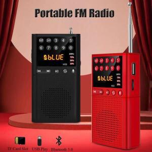 미니 휴대용 FM 라디오 무선 블루투스 스피커 MP3 음악 플레이어 녹음 지원 핸즈프리 TF 카드 USB 헤드폰