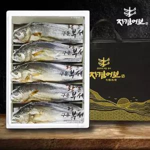 [자겸어보][바로배송]영광 구운보리굴비세트 10미 30-32cm